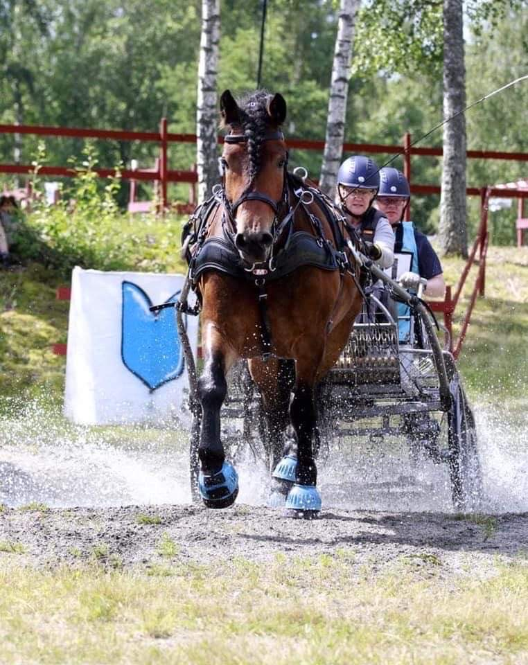 Tävlingskommitté